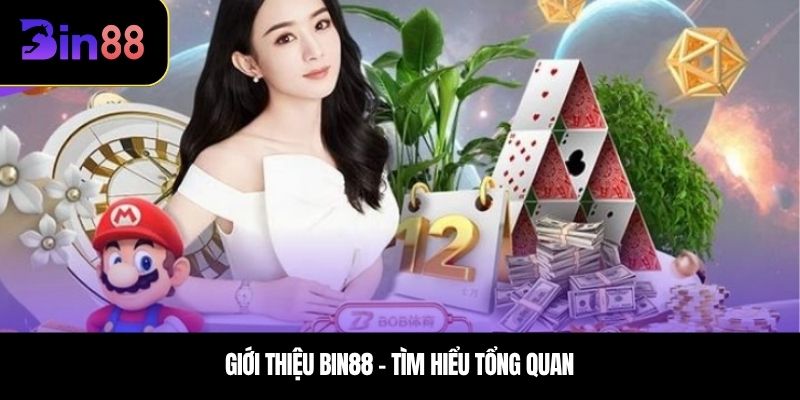Giới thiệu BIN88 – Tìm hiểu tổng quan