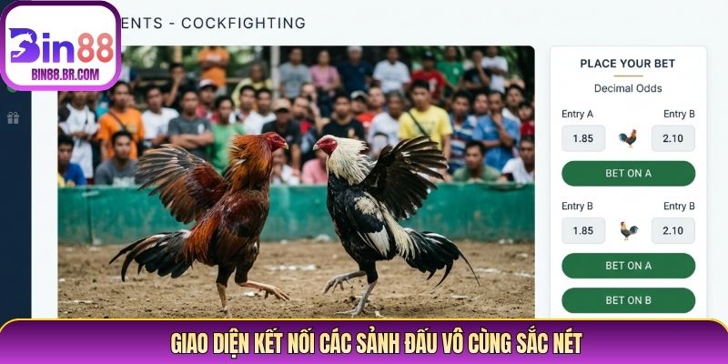 Giao diện kết nối các sảnh đấu vô cùng sắc nét Giao diện kết nối các sảnh đấu vô cùng sắc nét