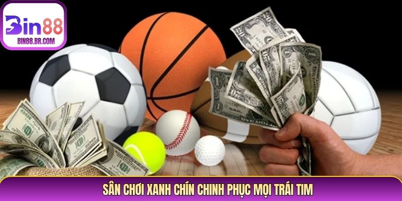 Sân chơi xanh chín chinh phục mọi trái tim Sân chơi xanh chín chinh phục mọi trái tim